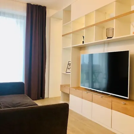 Joy Torontalului 41 Timişoara