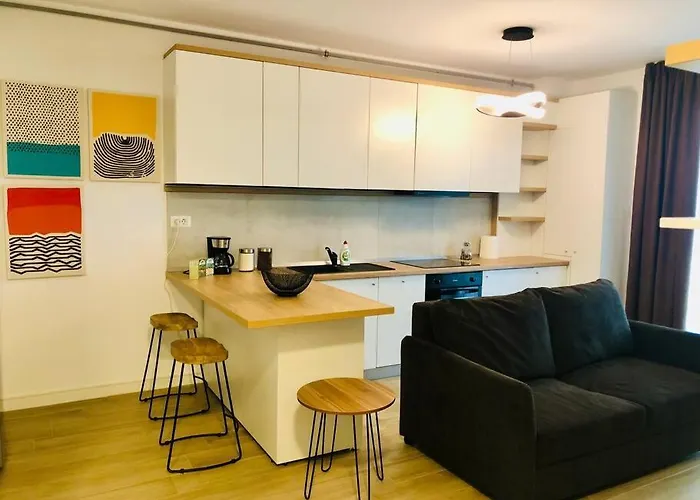 Joy Torontalului 41 * تيميشورا