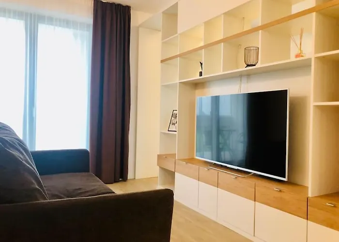 Joy Torontalului 41 تيميشورا