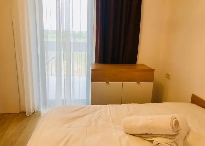 Joy Torontalului 41 * تيميشورا