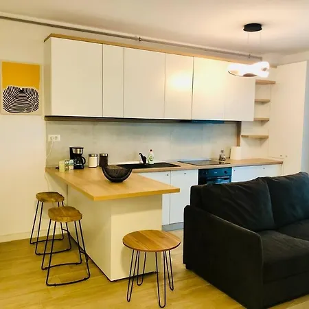 Joy Torontalului 41 * Τιμισοάρα