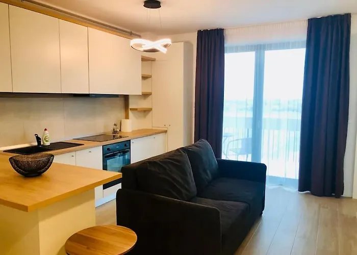 Joy Torontalului 41 Apartman Temesvár